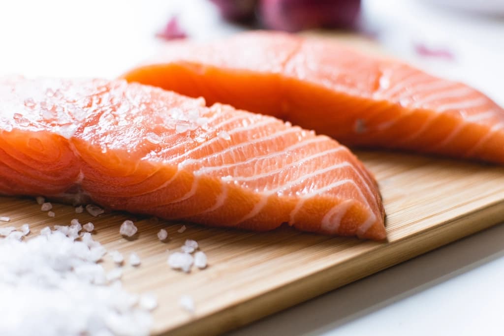 Salmon